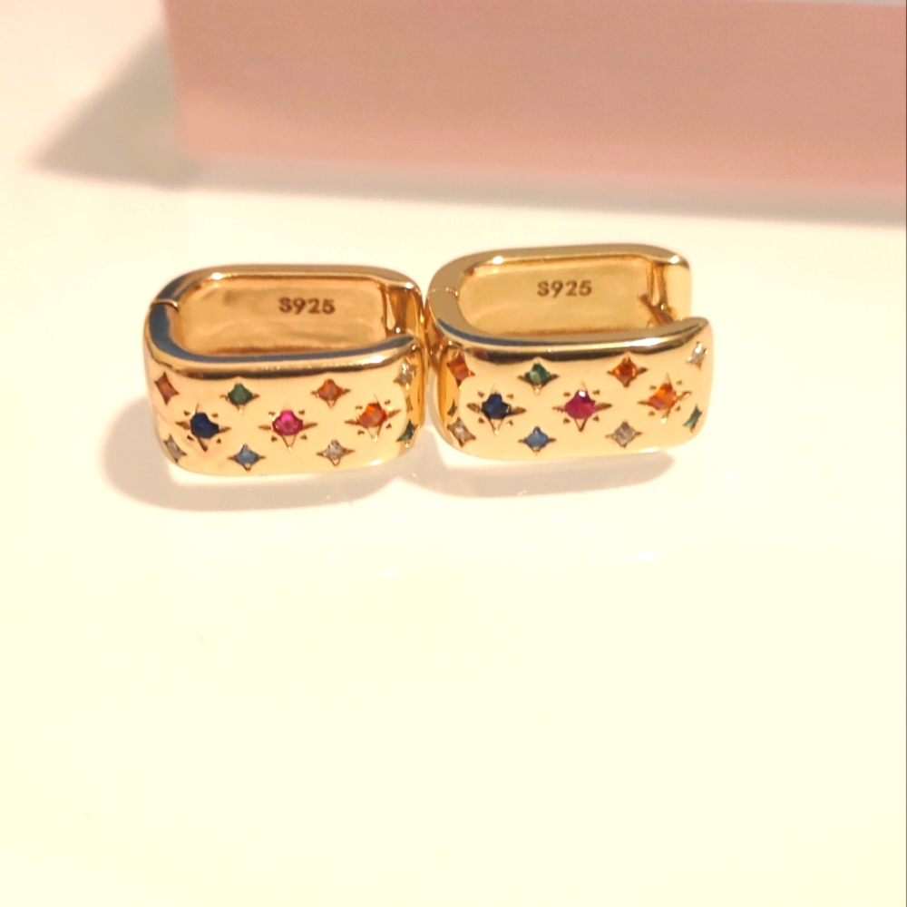 Pair of earrings